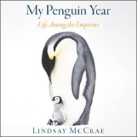 My_penguin_year